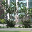 Keppel Tower