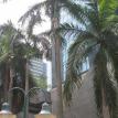 Keppel Tower